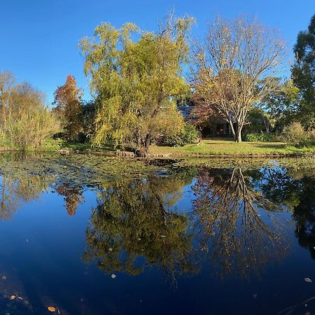 Motel Holly Lane Mews Yarra Glen Esterno foto