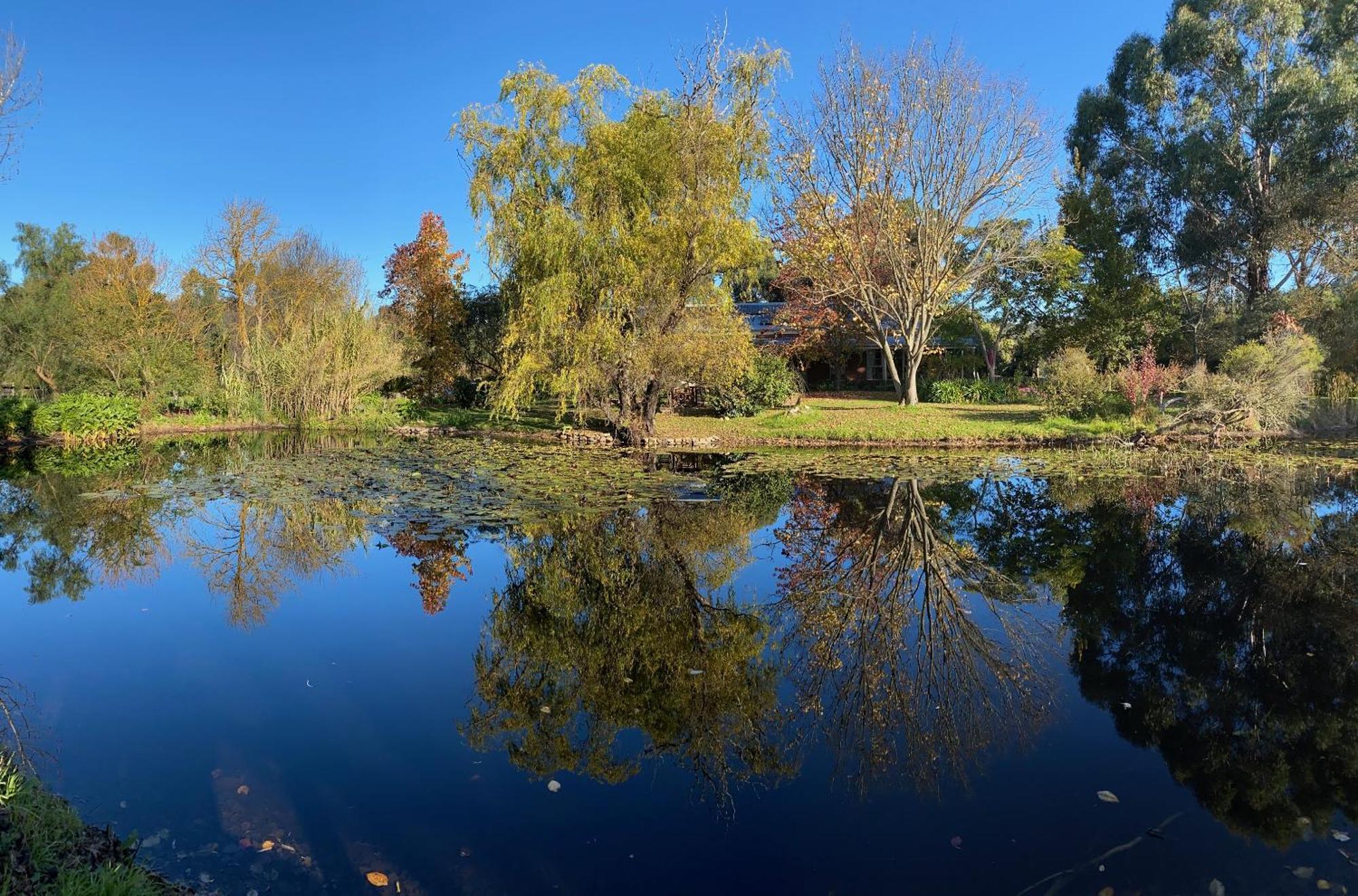 Motel Holly Lane Mews Yarra Glen Esterno foto