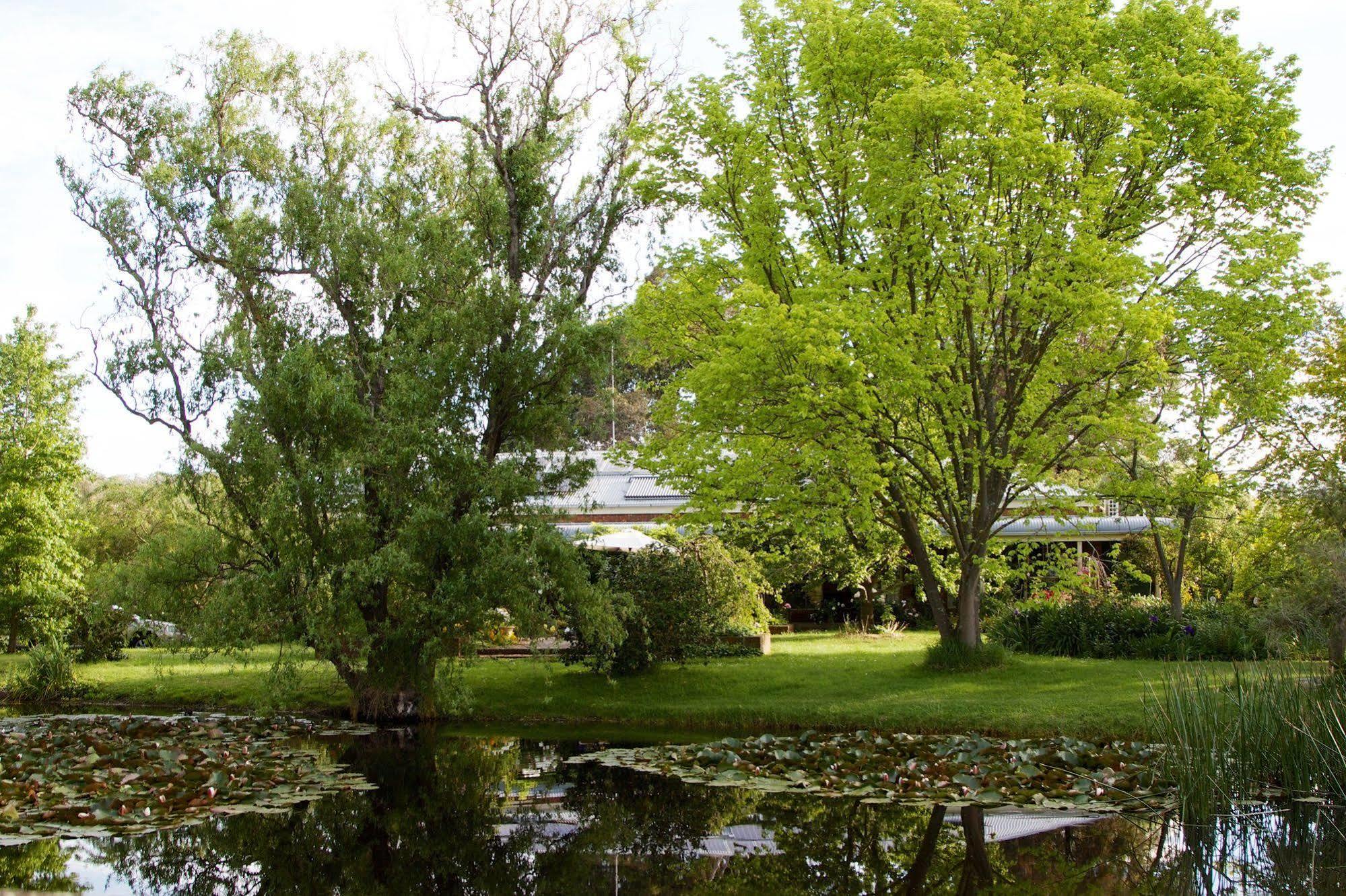 Motel Holly Lane Mews Yarra Glen Esterno foto