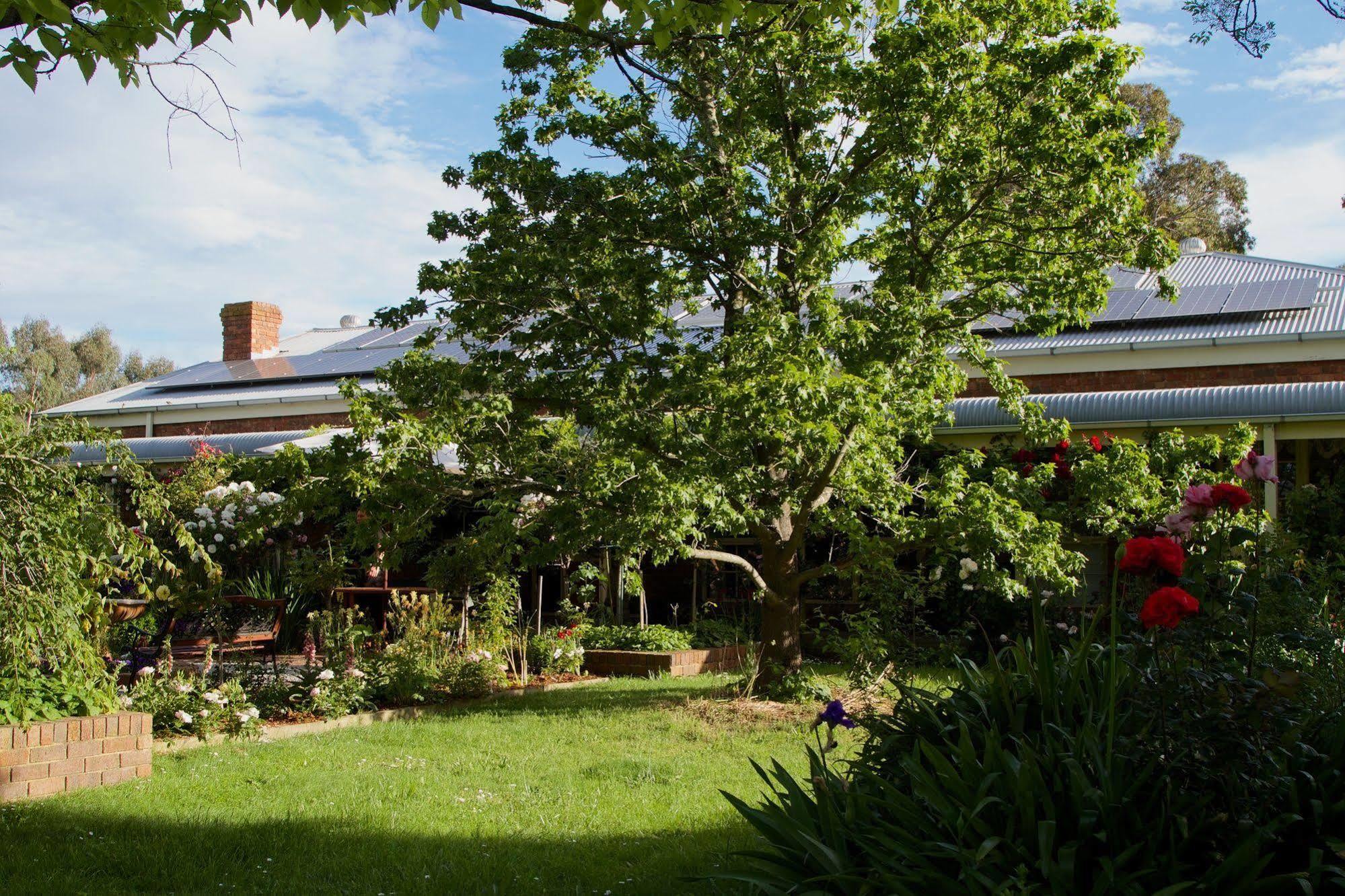 Motel Holly Lane Mews Yarra Glen Esterno foto